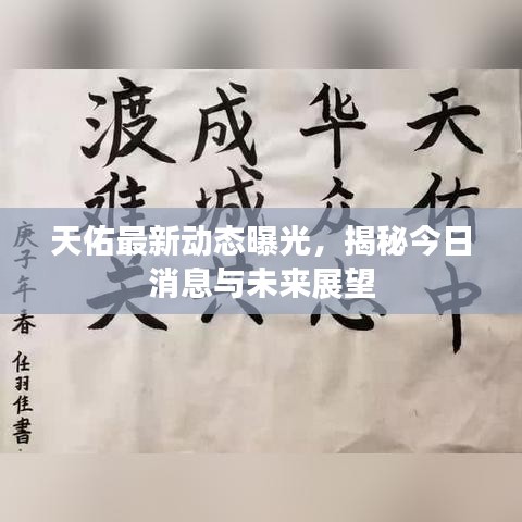 天佑最新动态曝光，揭秘今日消息与未来展望