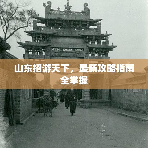 山东招游天下，最新攻略指南全掌握