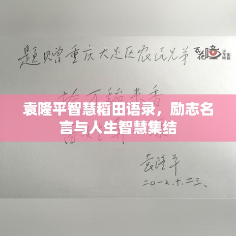 袁隆平智慧稻田语录，励志名言与人生智慧集结