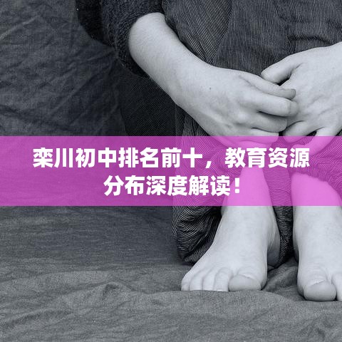 栾川初中排名前十，教育资源分布深度解读！