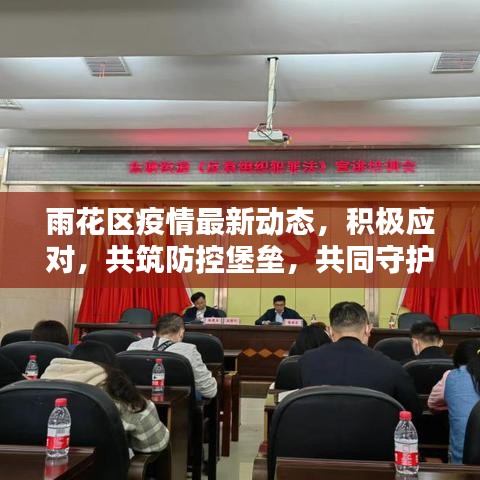 雨花区疫情最新动态，积极应对，共筑防控堡垒，共同守护家园安全
