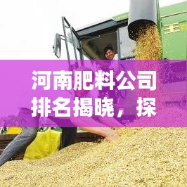 河南肥料公司排名揭晓，探寻行业领军者，不容错过！