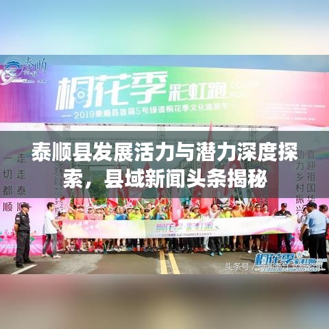 泰顺县发展活力与潜力深度探索，县域新闻头条揭秘