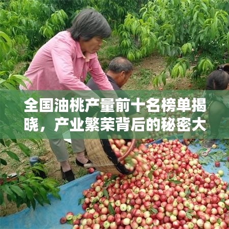 全国油桃产量前十名榜单揭晓，产业繁荣背后的秘密大揭秘