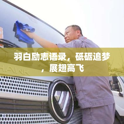 羽白励志语录，砥砺追梦，展翅高飞