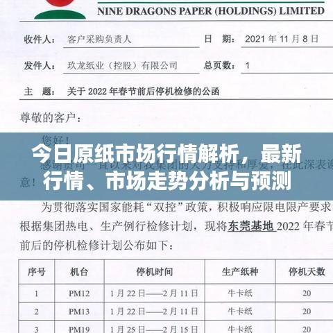 今日原纸市场行情解析，最新行情、市场走势分析与预测