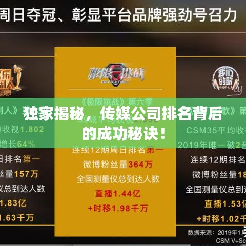 独家揭秘，传媒公司排名背后的成功秘诀！