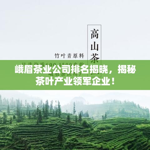 峨眉茶业公司排名揭晓，揭秘茶叶产业领军企业！