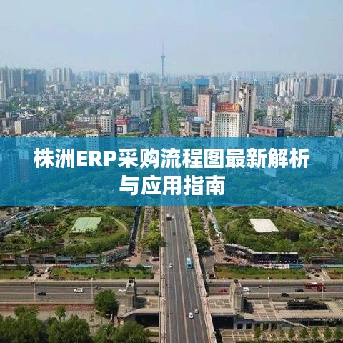 株洲ERP采购流程图最新解析与应用指南