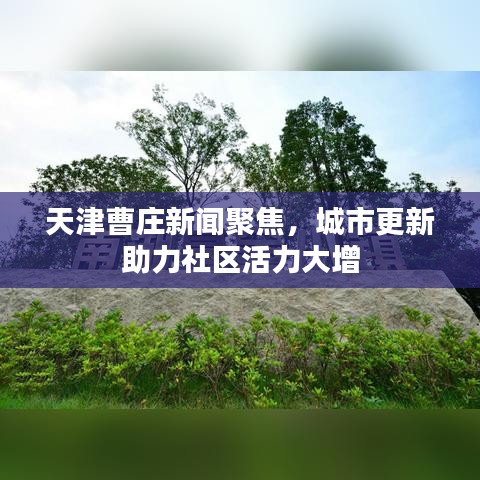 天津曹庄新闻聚焦，城市更新助力社区活力大增