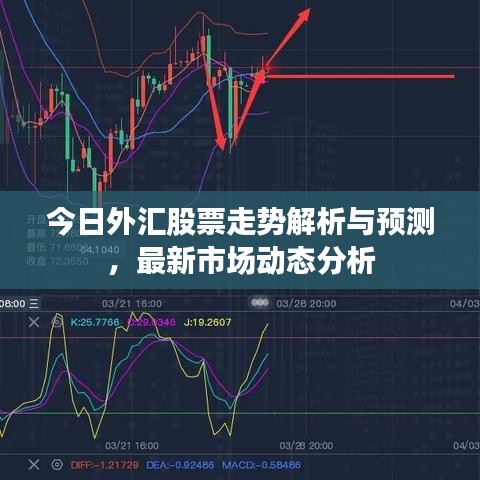 就地取材