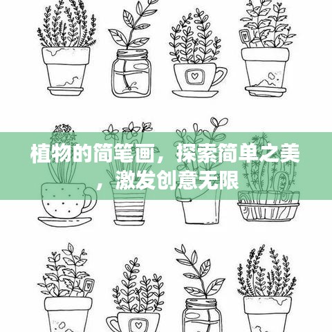 植物的简笔画，探索简单之美，激发创意无限
