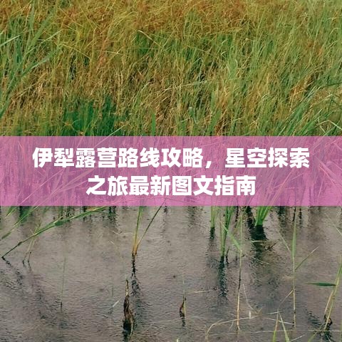 伊犁露营路线攻略，星空探索之旅最新图文指南
