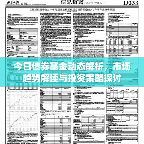 今日债券基金动态解析，市场趋势解读与投资策略探讨