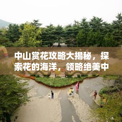 中山赏花攻略大揭秘，探索花的海洋，领略绝美中山风光！