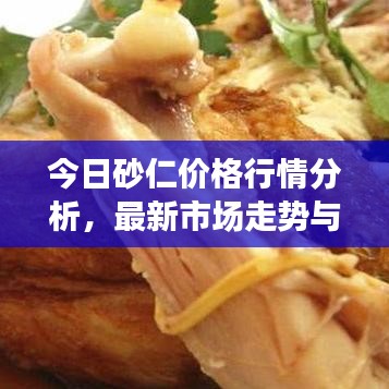 今日砂仁价格行情分析，最新市场走势与预测