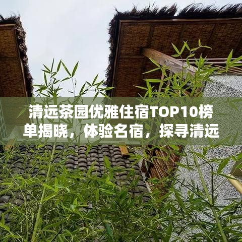 清远茶园优雅住宿TOP10榜单揭晓，体验名宿，探寻清远茶园中的极致享受