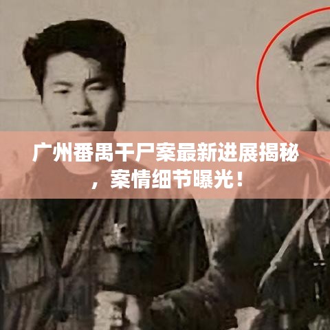 广州番禺干尸案最新进展揭秘，案情细节曝光！