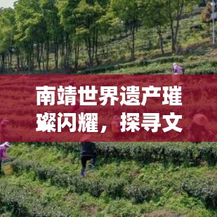 南靖世界遗产璀璨闪耀，探寻文化瑰宝排名前列
