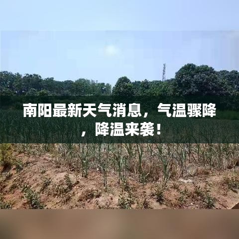 南阳最新天气消息，气温骤降，降温来袭！