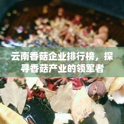 云南香菇企业排行榜，探寻香菇产业的领军者