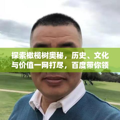 探索橄榄树奥秘，历史、文化与价值一网打尽，百度带你领略不一样的橄榄之旅