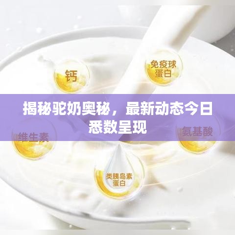 揭秘驼奶奥秘，最新动态今日悉数呈现