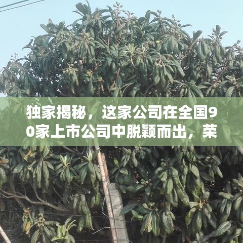 独家揭秘，这家公司在全国90家上市公司中脱颖而出，荣登榜首！