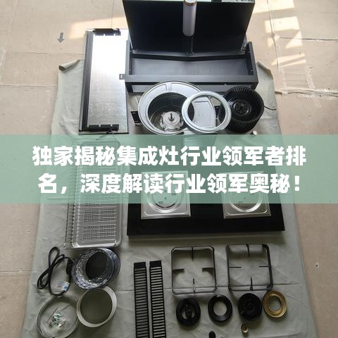 独家揭秘集成灶行业领军者排名，深度解读行业领军奥秘！
