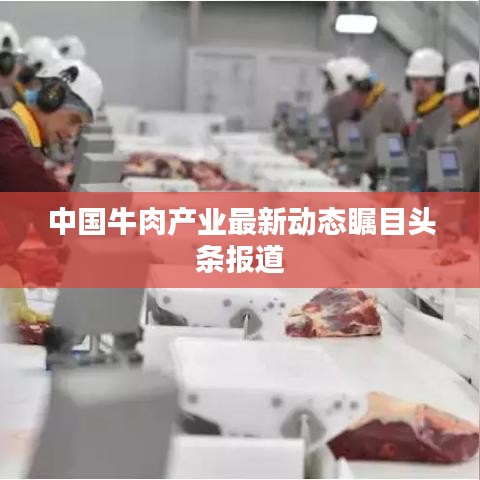 中国牛肉产业最新动态瞩目头条报道