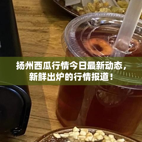 扬州西瓜行情今日最新动态，新鲜出炉的行情报道！