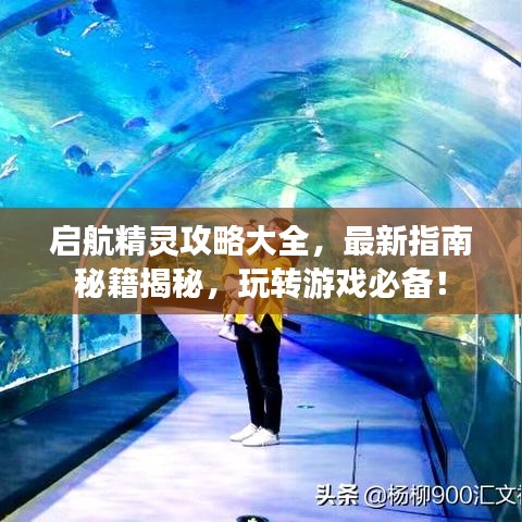 启航精灵攻略大全，最新指南秘籍揭秘，玩转游戏必备！