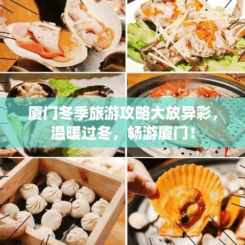 厦门冬季旅游攻略大放异彩，温暖过冬，畅游厦门！
