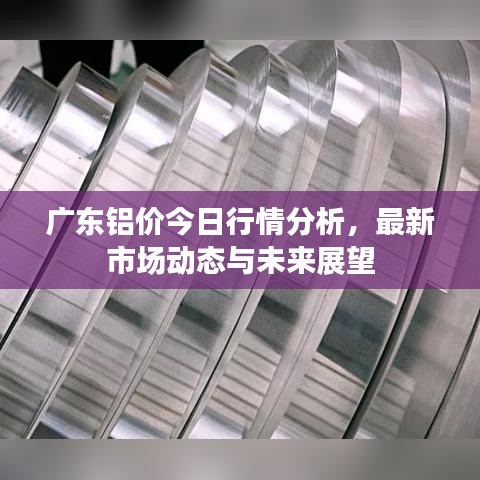 广东铝价今日行情分析，最新市场动态与未来展望