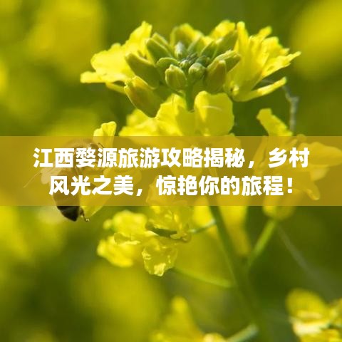 江西婺源旅游攻略揭秘，乡村风光之美，惊艳你的旅程！
