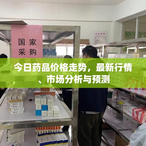 今日药品价格走势，最新行情、市场分析与预测