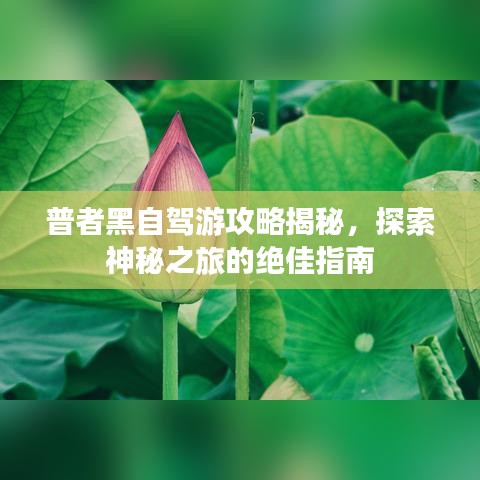 普者黑自驾游攻略揭秘，探索神秘之旅的绝佳指南