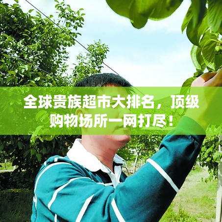 全球贵族超市大排名，顶级购物场所一网打尽！