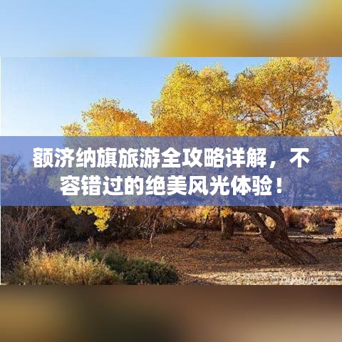 额济纳旗旅游全攻略详解，不容错过的绝美风光体验！