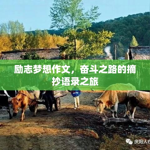 励志梦想作文，奋斗之路的摘抄语录之旅