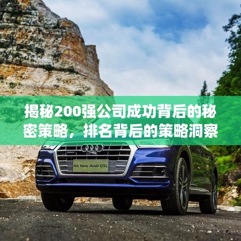 揭秘200强公司成功背后的秘密策略，排名背后的策略洞察