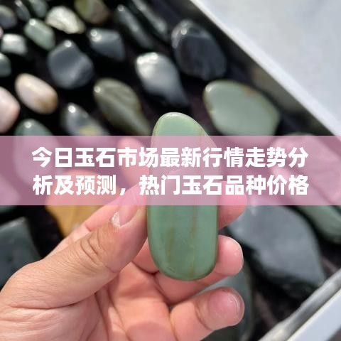 今日玉石市场最新行情走势分析及预测，热门玉石品种价格动态揭秘