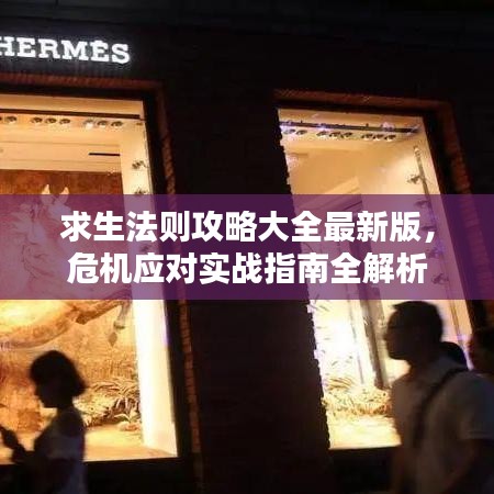 求生法则攻略大全最新版，危机应对实战指南全解析