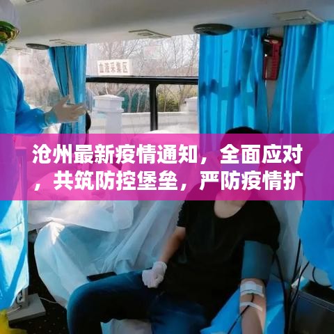 沧州最新疫情通知，全面应对，共筑防控堡垒，严防疫情扩散