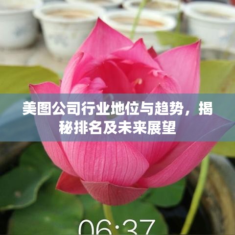 美图公司行业地位与趋势，揭秘排名及未来展望