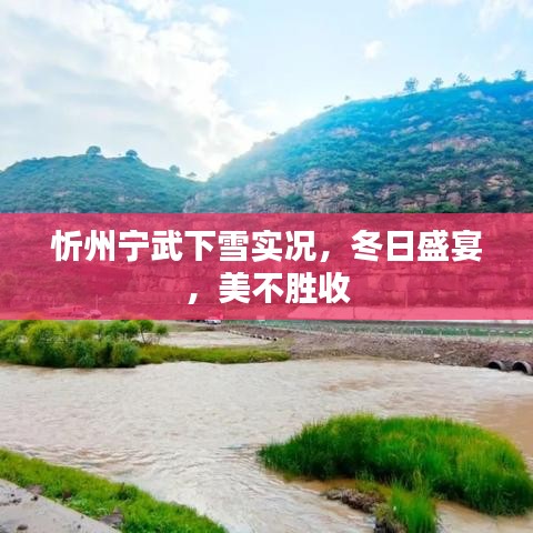 忻州宁武下雪实况，冬日盛宴，美不胜收