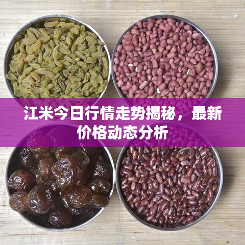 江米今日行情走势揭秘，最新价格动态分析