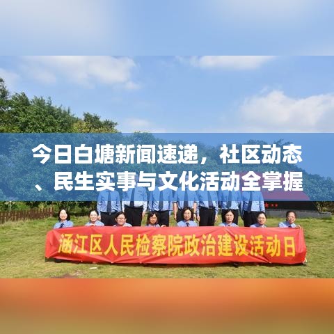 今日白塘新闻速递，社区动态、民生实事与文化活动全掌握