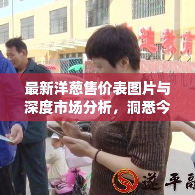 最新洋葱售价表图片与深度市场分析，洞悉今日洋葱市场趋势