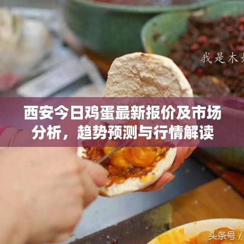 西安今日鸡蛋最新报价及市场分析，趋势预测与行情解读